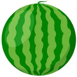Watermelon logo