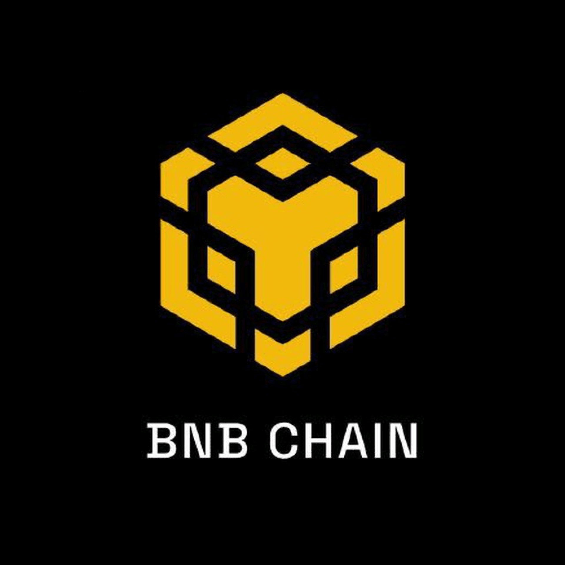 BNB Chain logo
