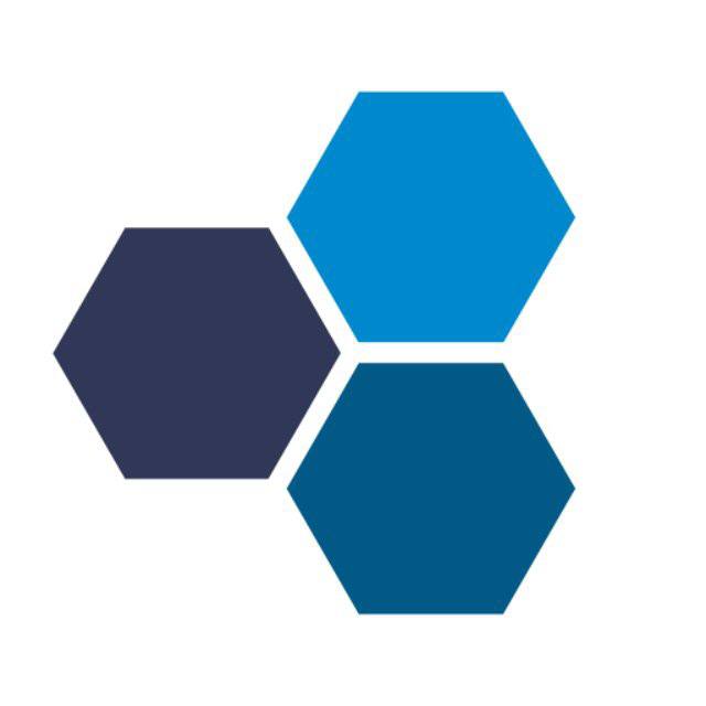 Scaleton logo