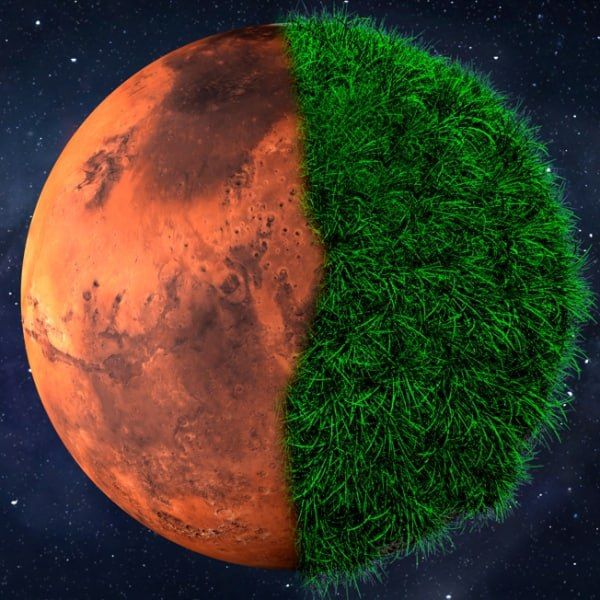 TONPlanetsBot logo