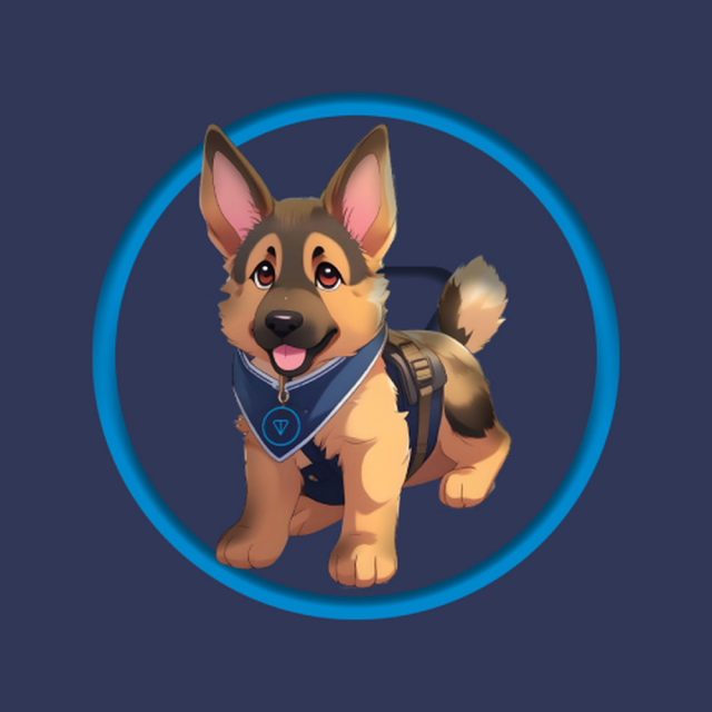 Commander logo