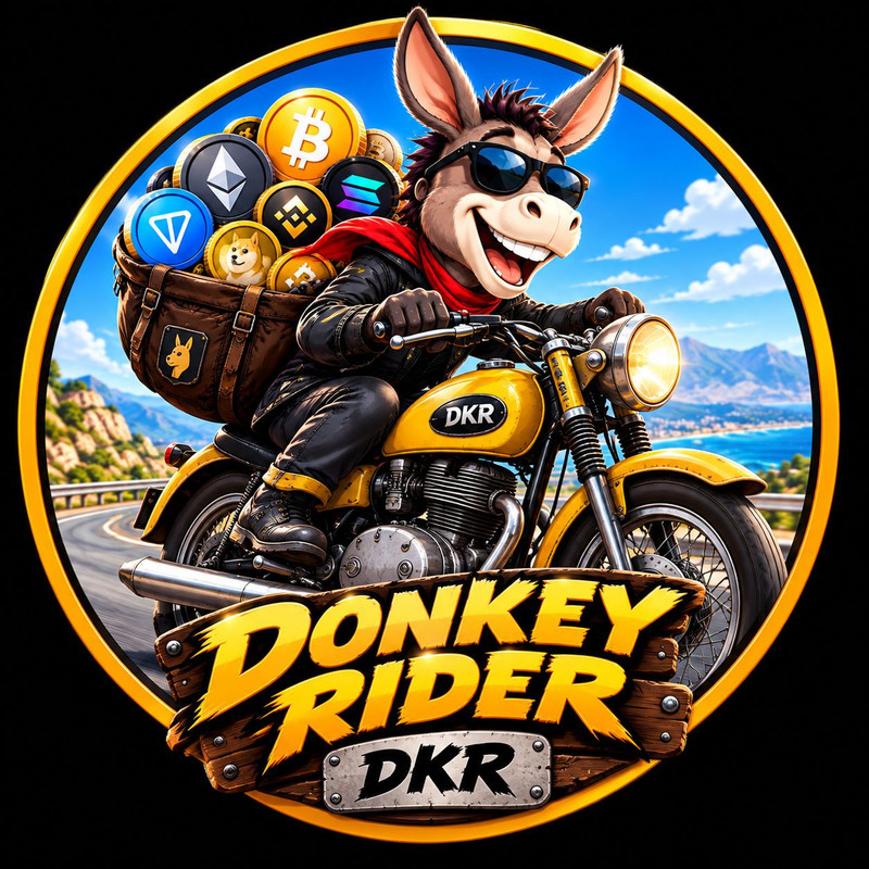 Donkey Rider (DKR)