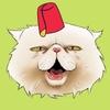 CAT LESHA (LESHA)