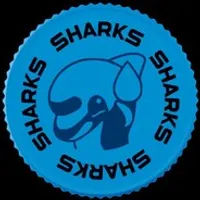 Shorks (Щорксы)