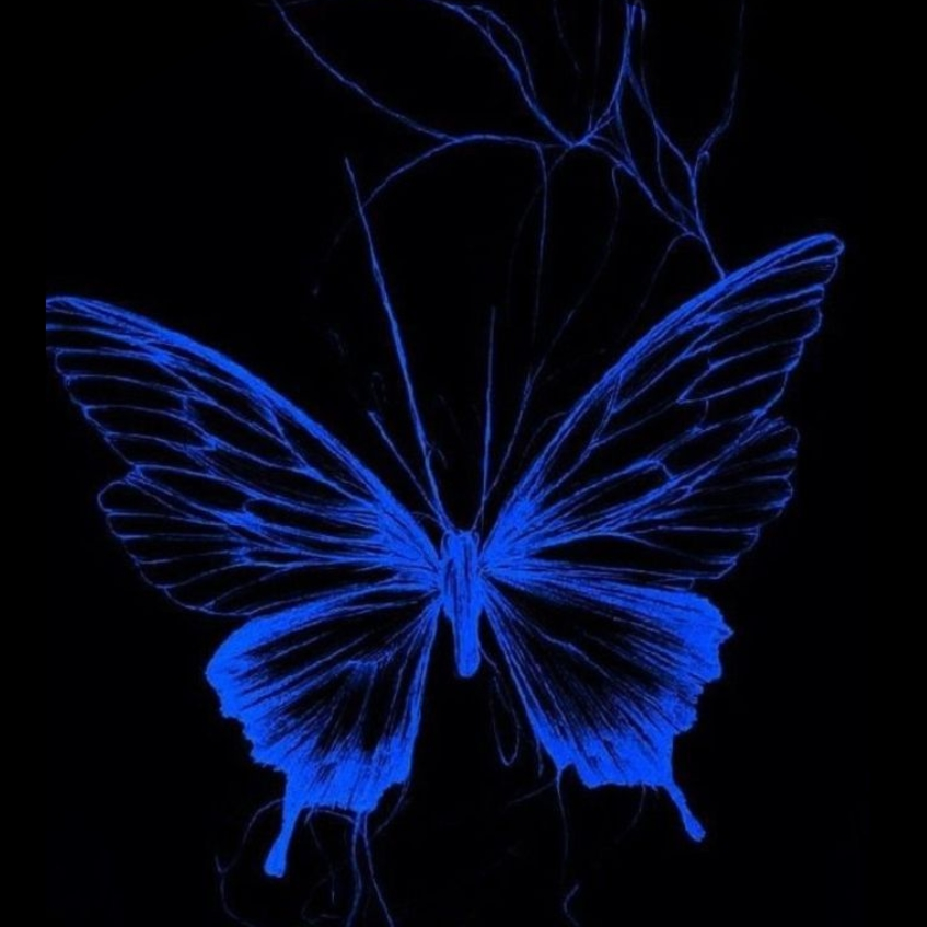 Butterfly (BFLY)