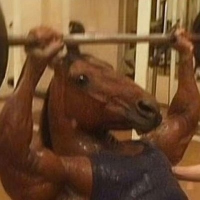 Horse (Horse)