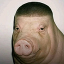 Wigger Pig (Pigger)