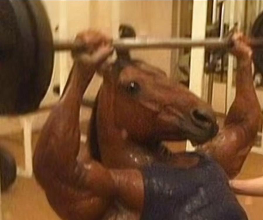 Horse (Horse)