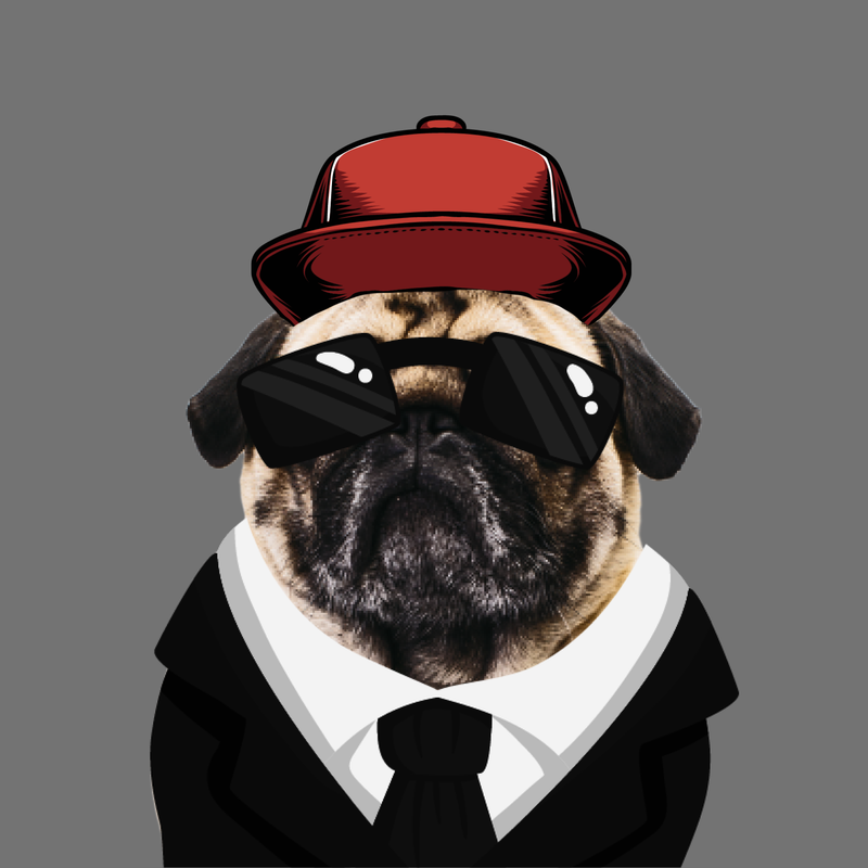 PugWifJet (PWJ)