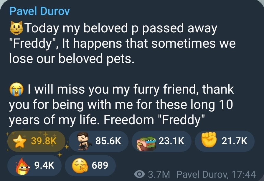 Freddy (Freddy)