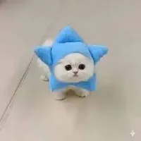 CATGRAM (CATGRAM)