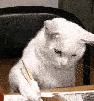 CATWIFWOK (CWW)
