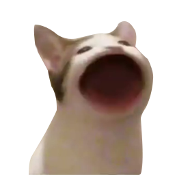 CATCOIN (СTN)