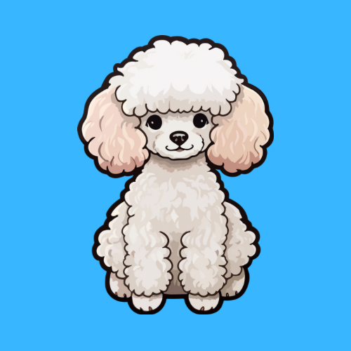 POODLE (poodle)