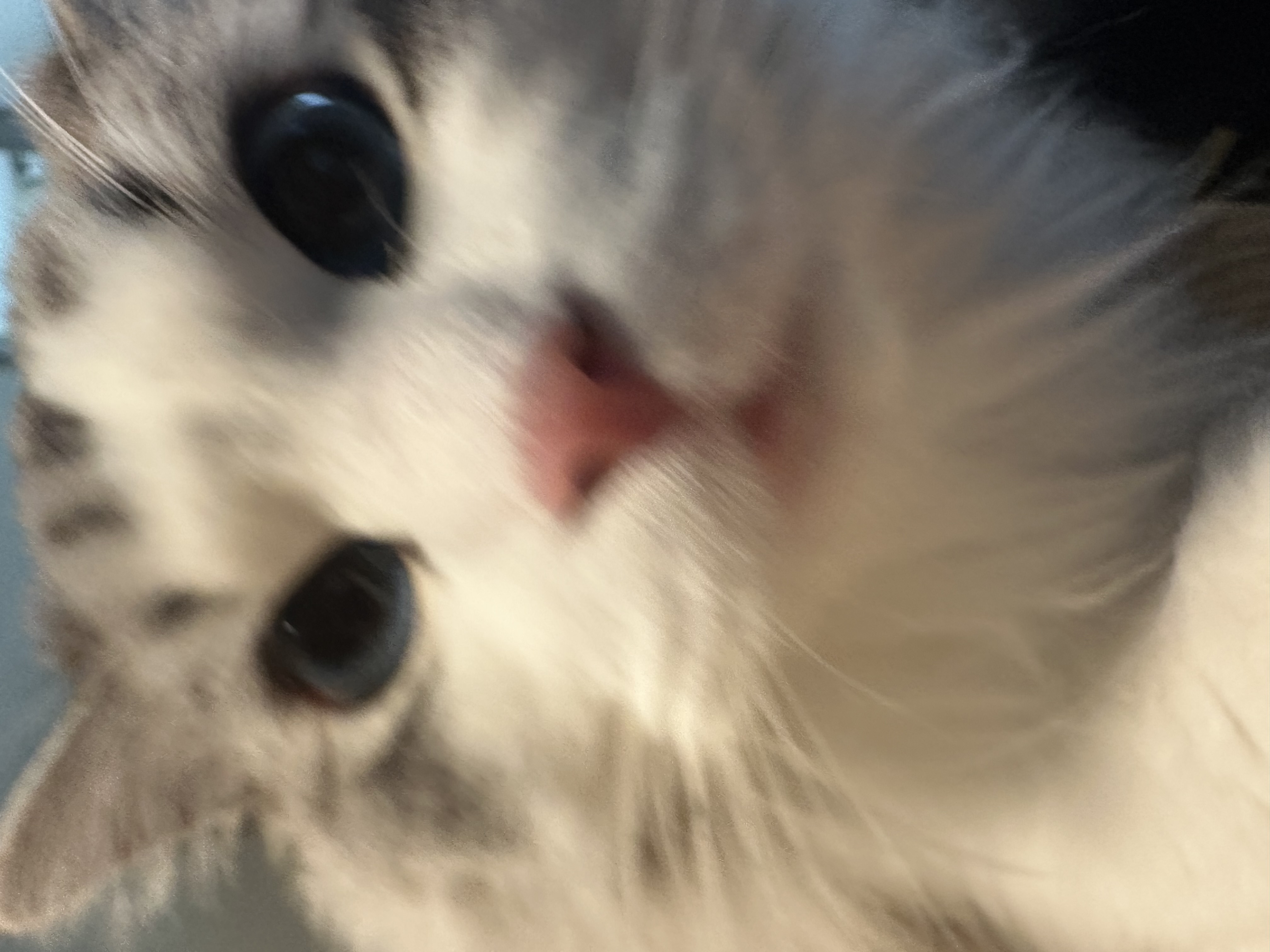 Winnie (WINNIE)