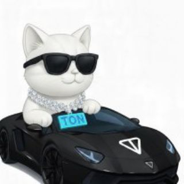 TON LAMBO CAT (LAMBO CAT)