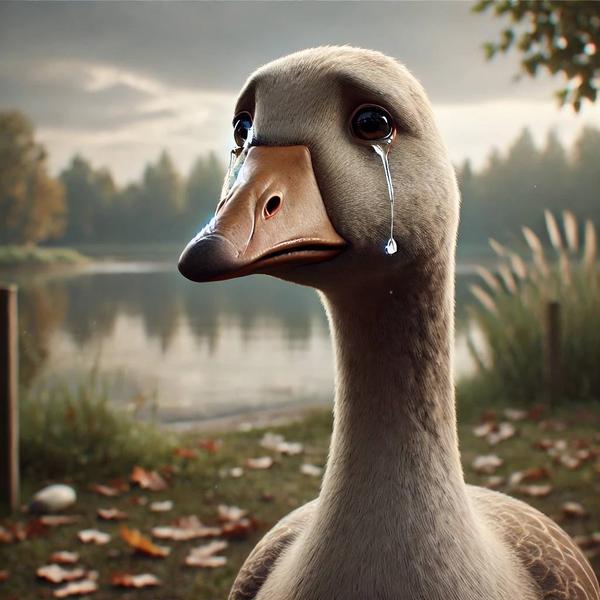 Sadhonk (SADHONK)