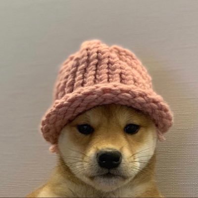 DOG WIF HAT on TON (TWIF)