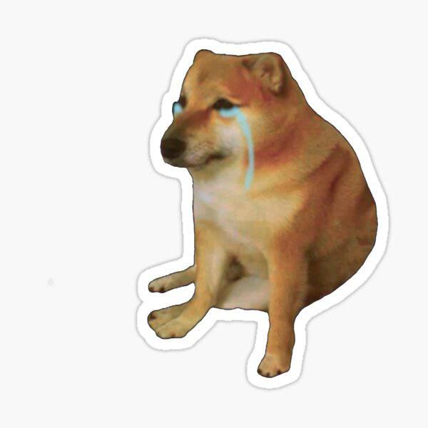 Sad Doge (SADDOGE)