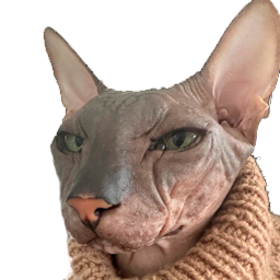 BaldCoin (CatCoin)