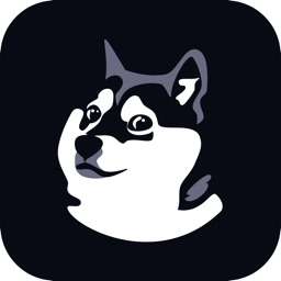 DogeMemesToppleRegimes (DOGEMEMES)