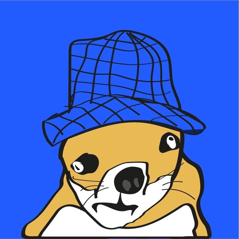 Dug Wif Hat (DWH)