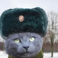 Russian Blue  ($Blu)