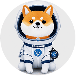 Asteroid Shiba (Asteroid)