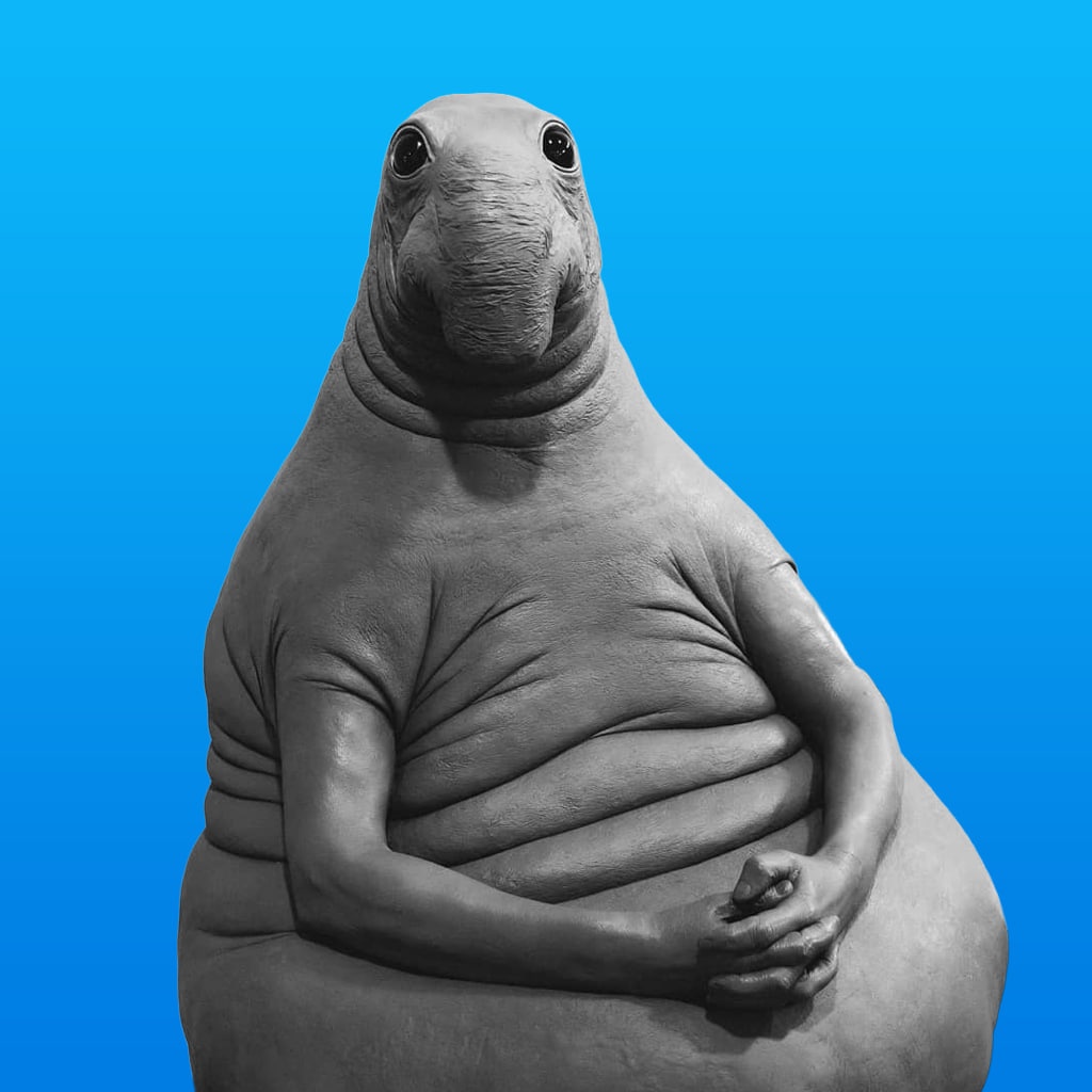 ZHDUN