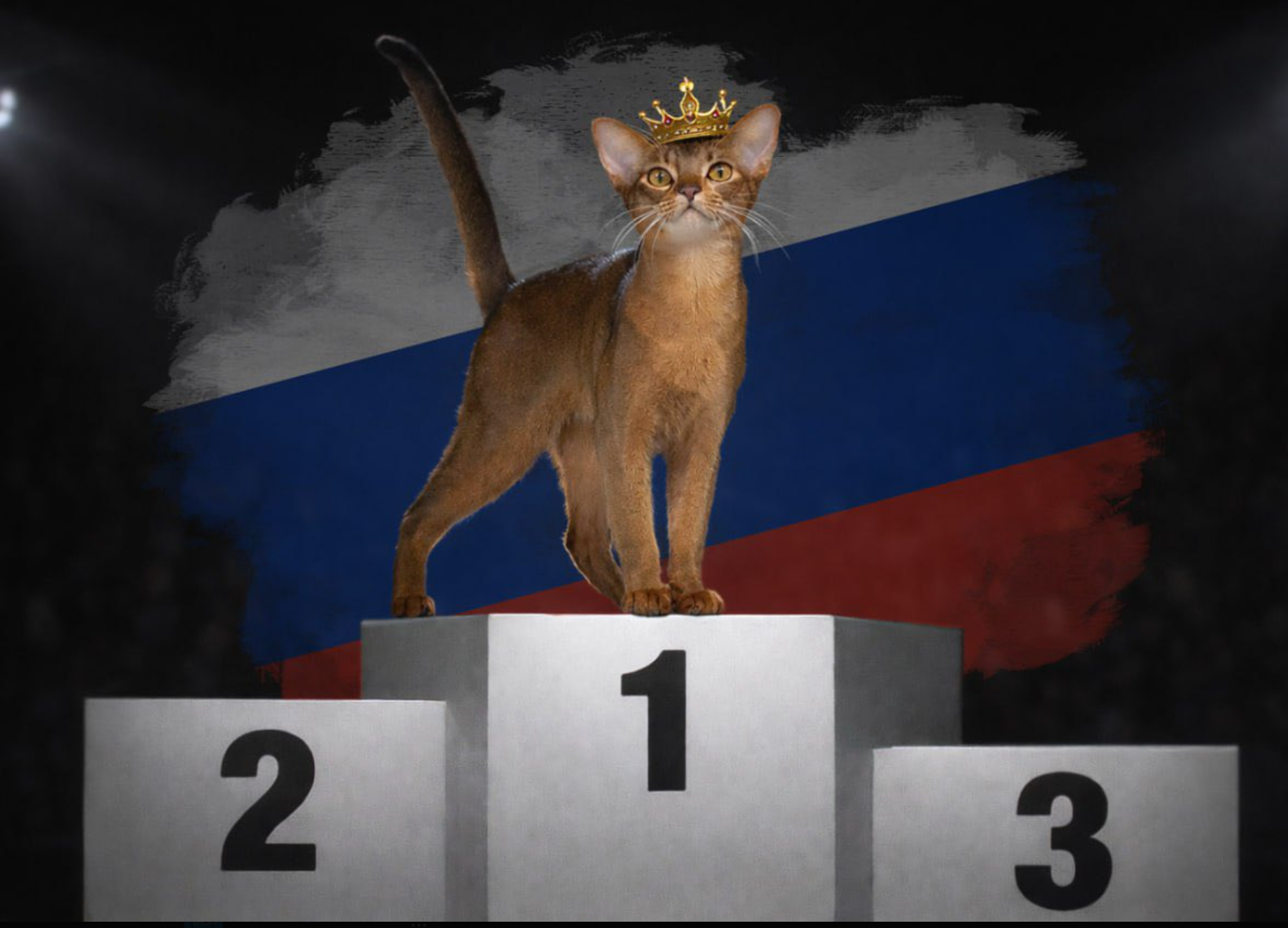 DarlenFleurDalmoreBlack (DARLEN)