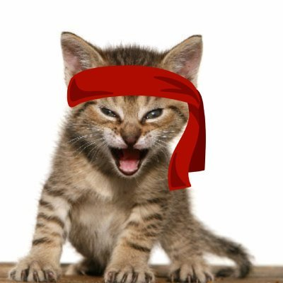 Red Kitten Crew (RKC)