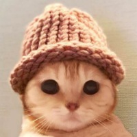 Kitty Wif Hat ($KITTY)