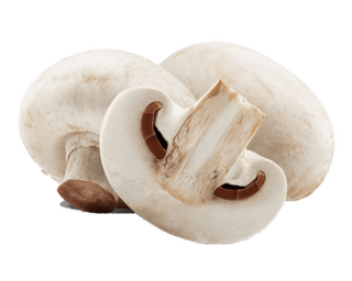 Shampinion token (SHMP)