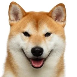 DOG (DOG)