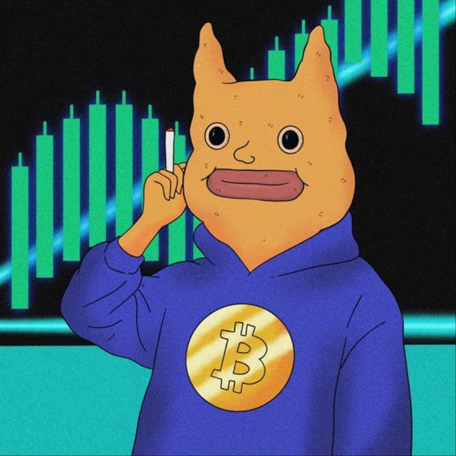 GUCHO CAT (GAT)
