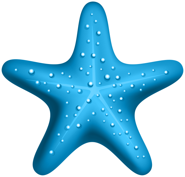 Sunreef Worker Token (SNRF)