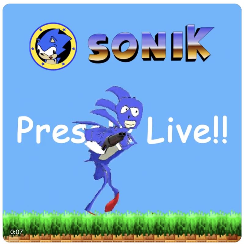 Fastest Meme on TON Sonik (SONIK)