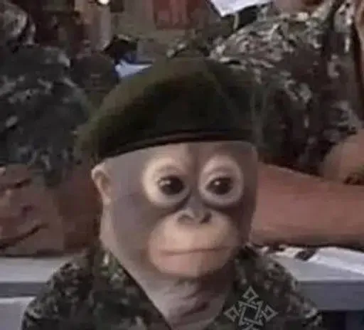 Chief Shitpost Officer (CSO)