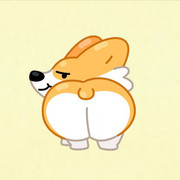 Corgi Life on TON (CORGILIFE)
