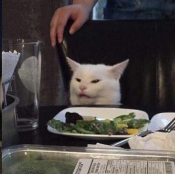BadCat (BCAT)