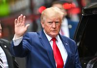 Trump Ton  (T TON)